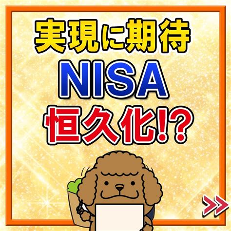 Nisa恒久化の決定について（基本のおさらい動画）｜株式投資の道