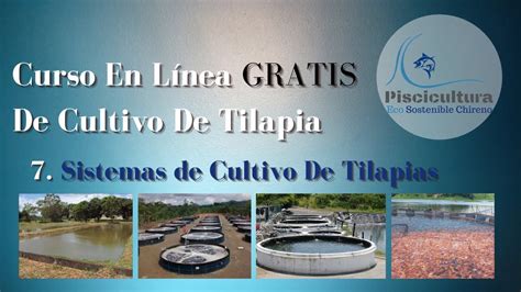 7 Sistemas de Cultivo de Tilapias Curso En Línea GRATIS Para El