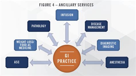 Industry Outlook Gastroenterology Practices And Ancillary