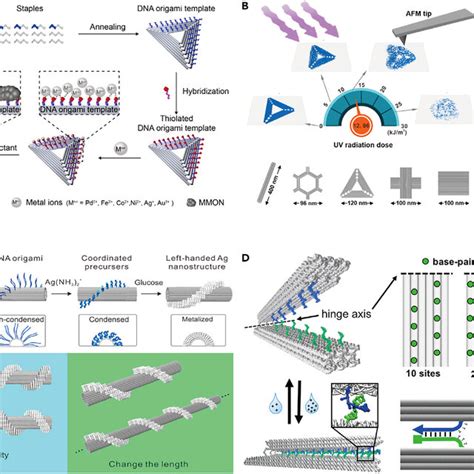 DNA Origami Enabled Computing And Storage A Schematic Showing The