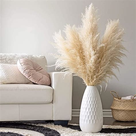 Amazon de Poiuyoiu Pampas Grass XXL 3 Stück Pampasgras großes