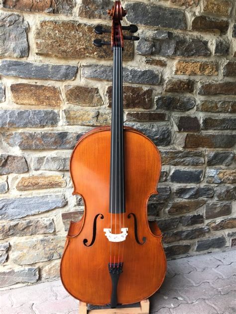 Gliga Vasile Advanced Cello Bass Works Australia