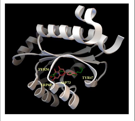 Figure 2 From Naringenin Inhibition Of The Pseudomonas Aeruginosa