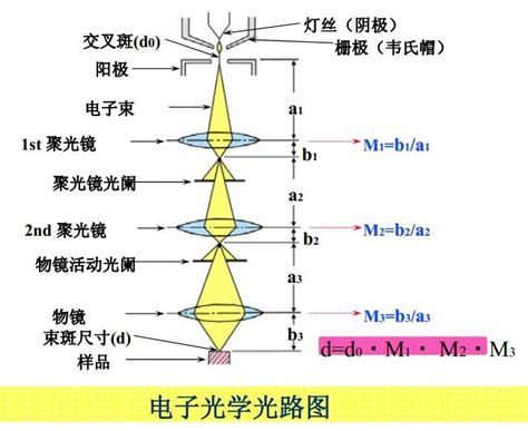 电子显微镜看到的图像是怎么样的？ 知乎