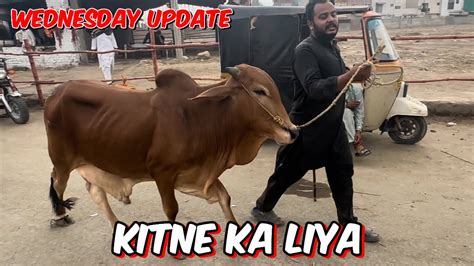 Kitne Ka Liya Qurbani Ka Janwar Wednesday Update Qurbani 2024