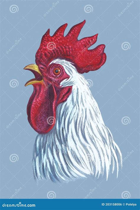 Rooster Drawing With Flower Frame Isolated Illustration