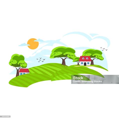 lahan pertanian ilustrasi stok  gambar  alam desa