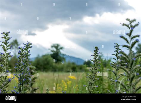 Dramatic Dark Clouds Landscape Stock Photo Alamy