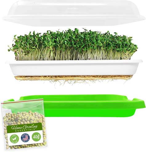 Amazon Homegrowing Essentials Sprouting Tray With G Mung Bean