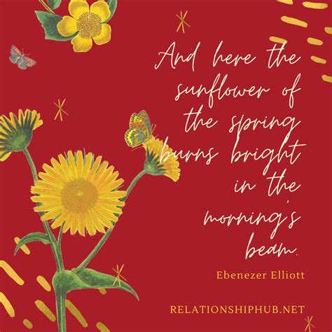 43 Beautiful Sunflower Quotes That Are Inspiring Relationship Hub