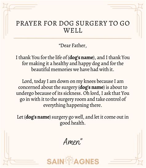 7 Miracle Prayers For Sick Pet: Sick Dog, Cat And More