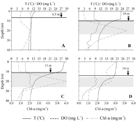 Temperature Dissolved Oxygen Do And Chl A Vertical Profiles In The