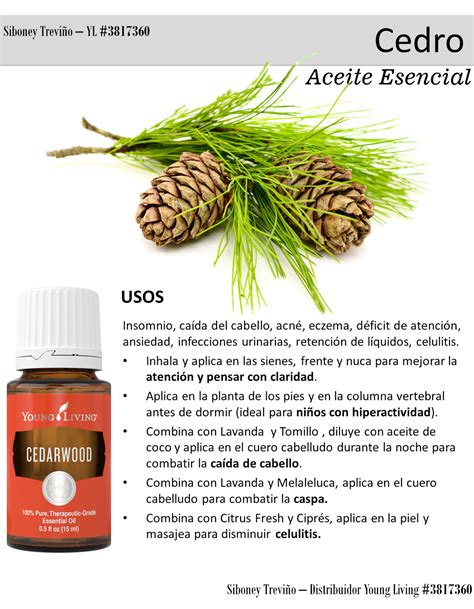 Tips Aceite Esencial Cedro PNG 1 2441 600 Pixeles Aceite Esencial De