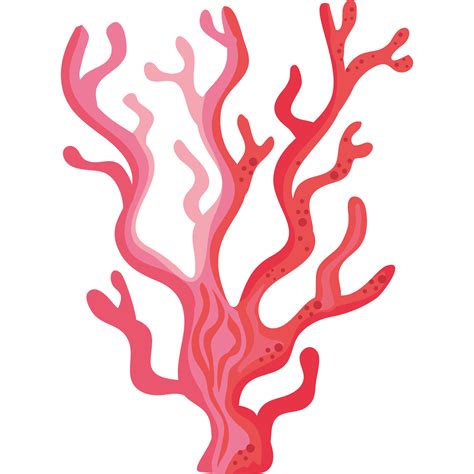 Plante D Algue Rouge 24090463 PNG