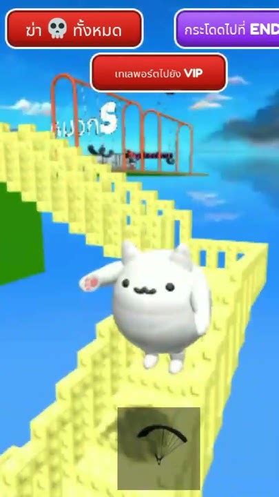 Cap Cat Youtube