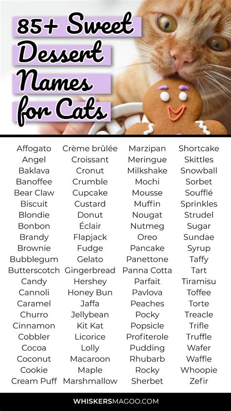 85 Sweet Dessert Names For Cats