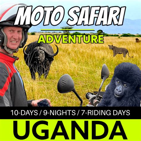 Global Motorcycle Tours MotoDreamer