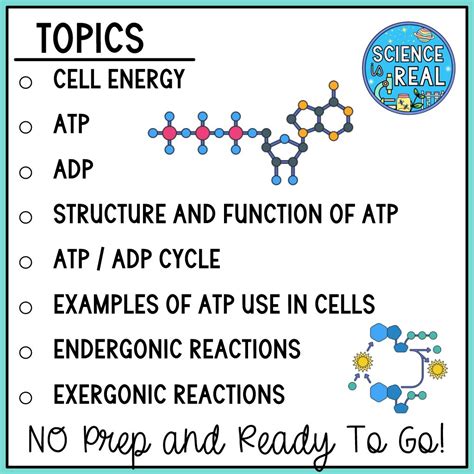 Atp Amoeba Sisters Video Handout Science Is Real Education