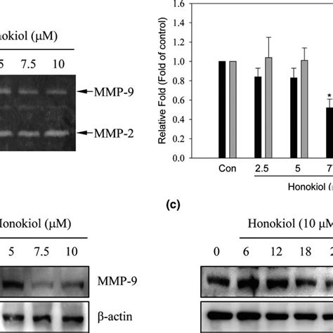 Effects Of Honokiol On Cell Viability And Cell Cycle Distribution In