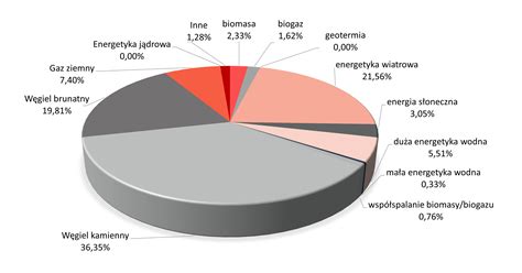 Struktura Paliw Energa