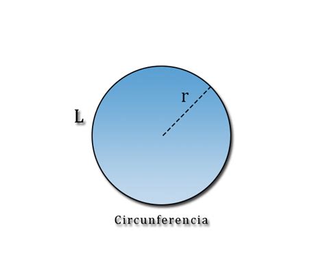 Longitud De Una Circunferencia