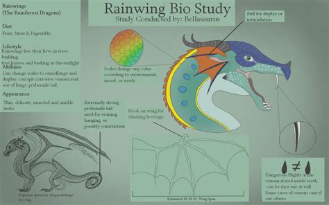 Rainwing Bio Study By Bellasauruss On Deviantart