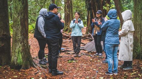 Des Scientifiques Prônent Les Avantages Des Bains De Forêts Ubc