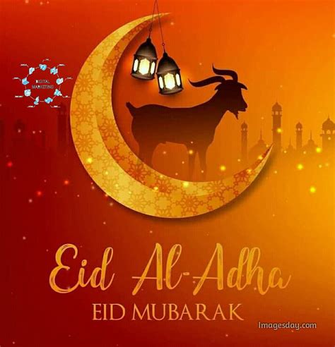 Happy Eid Ul Fitr 2023 Top 50 Eid Mubarak Wishes Messages 53 Off