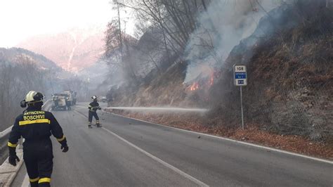 Vasto Incendio Nei Boschi Dellaltopiano Asiago Si Sospetta Il Dolo