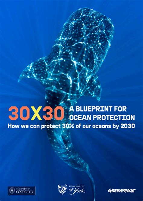 30x30 How To Protect 30 Of The Oceans By 2030 Greenpeace Canada