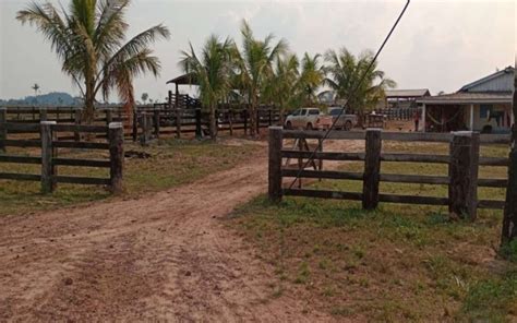 Fazenda na Estrada Municipal de São Félix do Xingu Km 150 Zona Rural