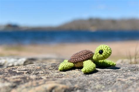 Sea Turtle Crochet Pattern Free | ubicaciondepersonas.cdmx.gob.mx