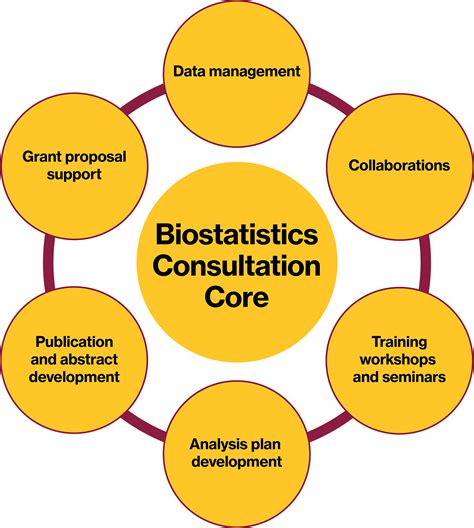 Biostatistics Consultation Core College Of Health Solutions