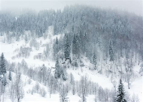 Winter Landscape Poster By Svetlana Sewell Displate