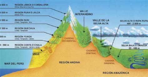 Ecorregión selva alta CONOCIENDO LA SELVA DEL PERÚ