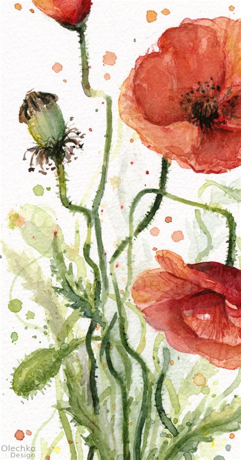 Mohn Wand Kunst Mohn Aquarell Mohn Kunstdruck Roter Mohn Etsy De