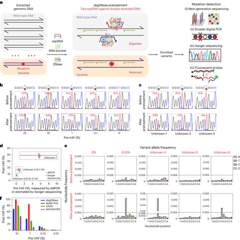 Direct Pretreatment Of Gdna By Dsgdnase A Schematic Illustration Of