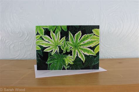 Fatsia Japonica Spiders Web Greetings Card