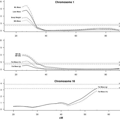 Qtl Scans For Different Traits On Chromosome 1 And 16 Sex And