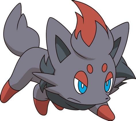 Zorua Pokémon Wiki Fandom Powered By Wikia