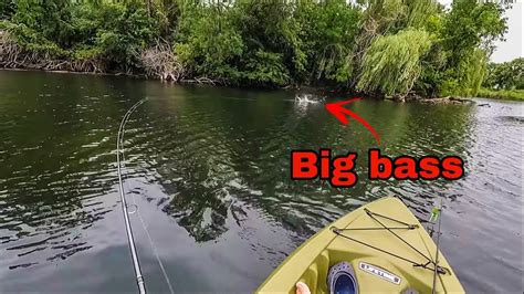 Topwater Frog Fishing Eagan Pond From Kayak Big Blow Ups Youtube