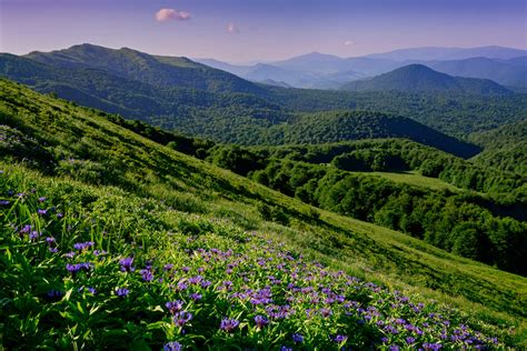 Bieszczady Wiosna W Bieszczadach Szlak Na Halicz