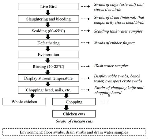 Poultry Feed Manufacturing Process Flow Chart Minga