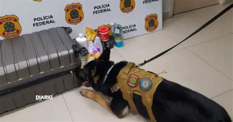 Mulher Presa No Aeroporto De Fortaleza Ao Tentar Embarcar Com Cocaína Escondida Em Frascos De