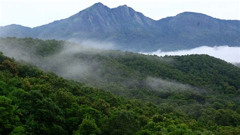 Silent Valley National Park - Alchetron, the free social encyclopedia