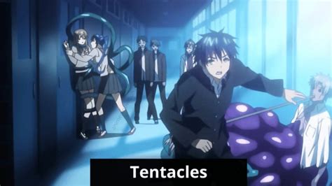 Best Tentacle Hentai Shows You Won T Forget Nsfw