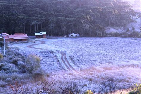 Serra De SC Amanhece Geada E Temperaturas Negativas FOTOS Santa