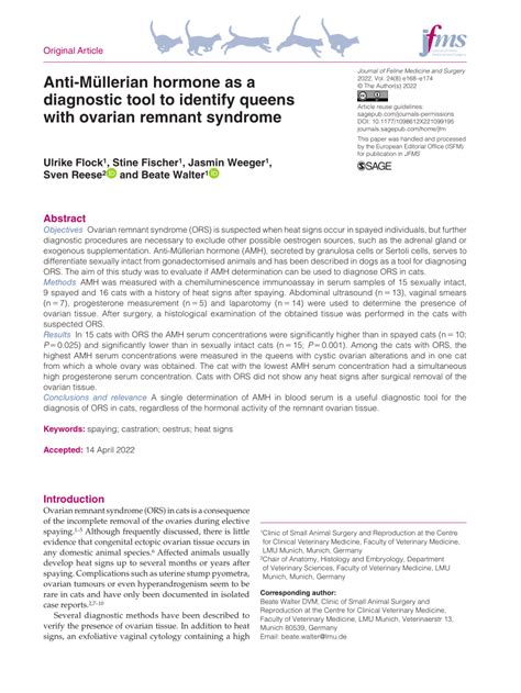 Pdf Anti Müllerian Hormone As A Diagnostic Tool To Identify Queens