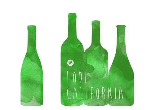 Finding Awesome Bold Red Wines By Region Wine Folly
