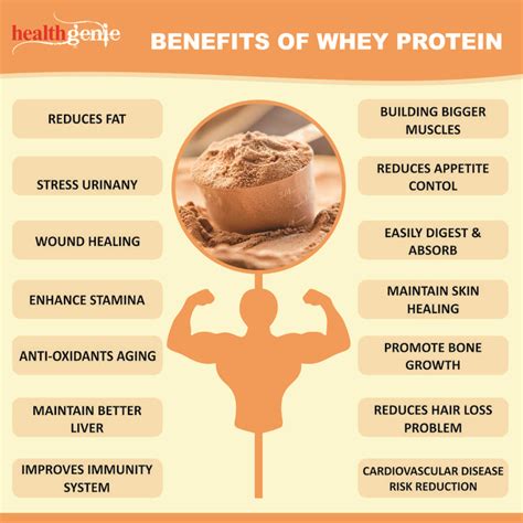 Benefits Of Whey Protein Transform Your Health And Fitness